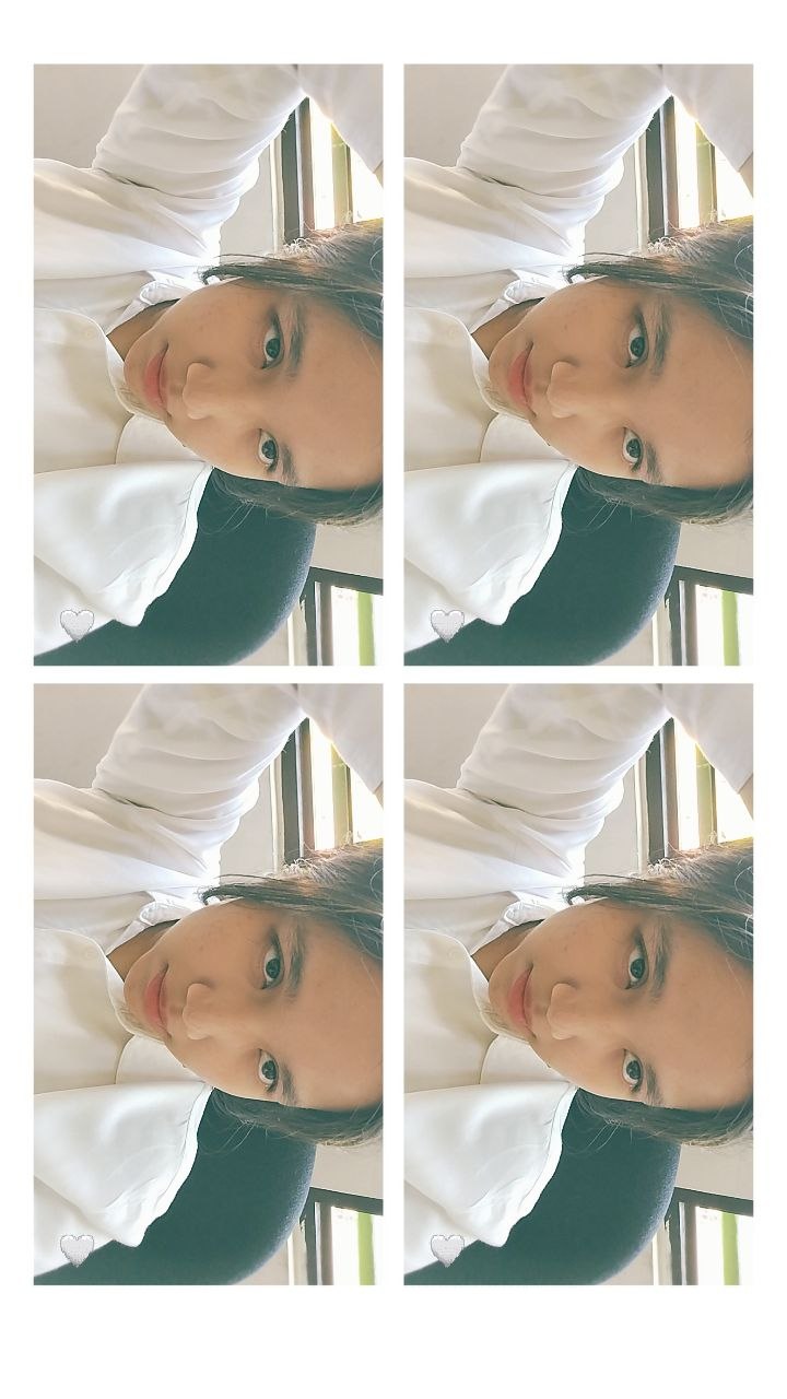 Gajah